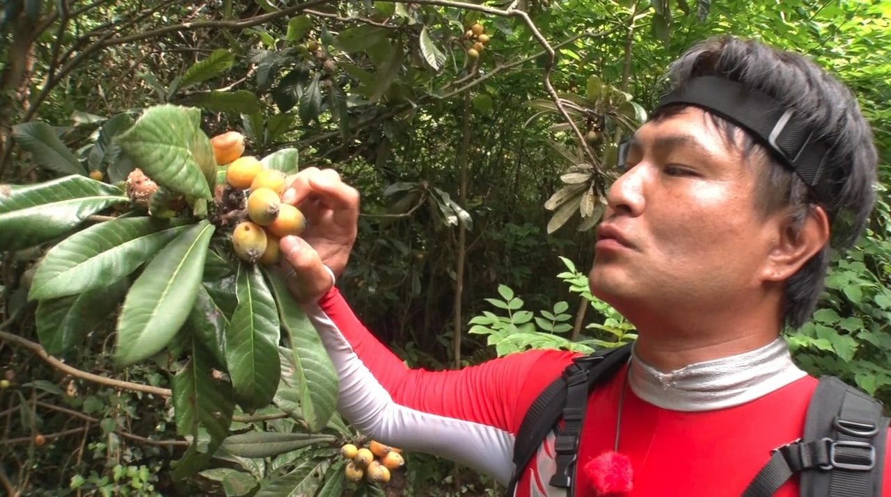 セシタマンが無人島を巡る新企画、あばれる君の山では夏の思い出作り
