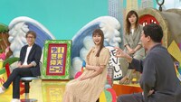「ザ！世界仰天ニュース」のワンシーン。(c)日本テレビ