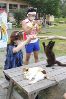 「猫大好き芸能人集結！東北ニャンだらけツアー」より。(c)青森放送