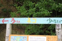 「猫大好き芸能人集結！東北ニャンだらけツアー」より。(c)青森放送