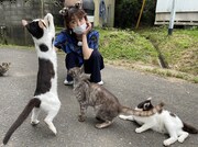 「猫大好き芸能人集結！東北ニャンだらけツアー」より。(c)青森放送