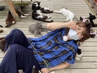 「猫大好き芸能人集結！東北ニャンだらけツアー」より。(c)青森放送