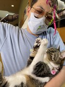 「猫大好き芸能人集結！東北ニャンだらけツアー」より。(c)青森放送