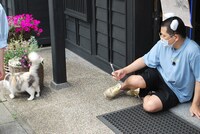 「猫大好き芸能人集結！東北ニャンだらけツアー」より。(c)青森放送