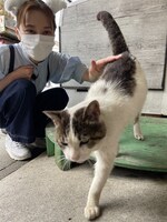 「猫大好き芸能人集結！東北ニャンだらけツアー」より。(c)青森放送