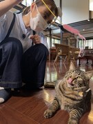 「猫大好き芸能人集結！東北ニャンだらけツアー」より。(c)青森放送