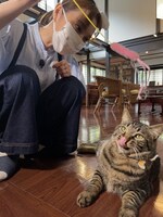 「猫大好き芸能人集結！東北ニャンだらけツアー」より。(c)青森放送