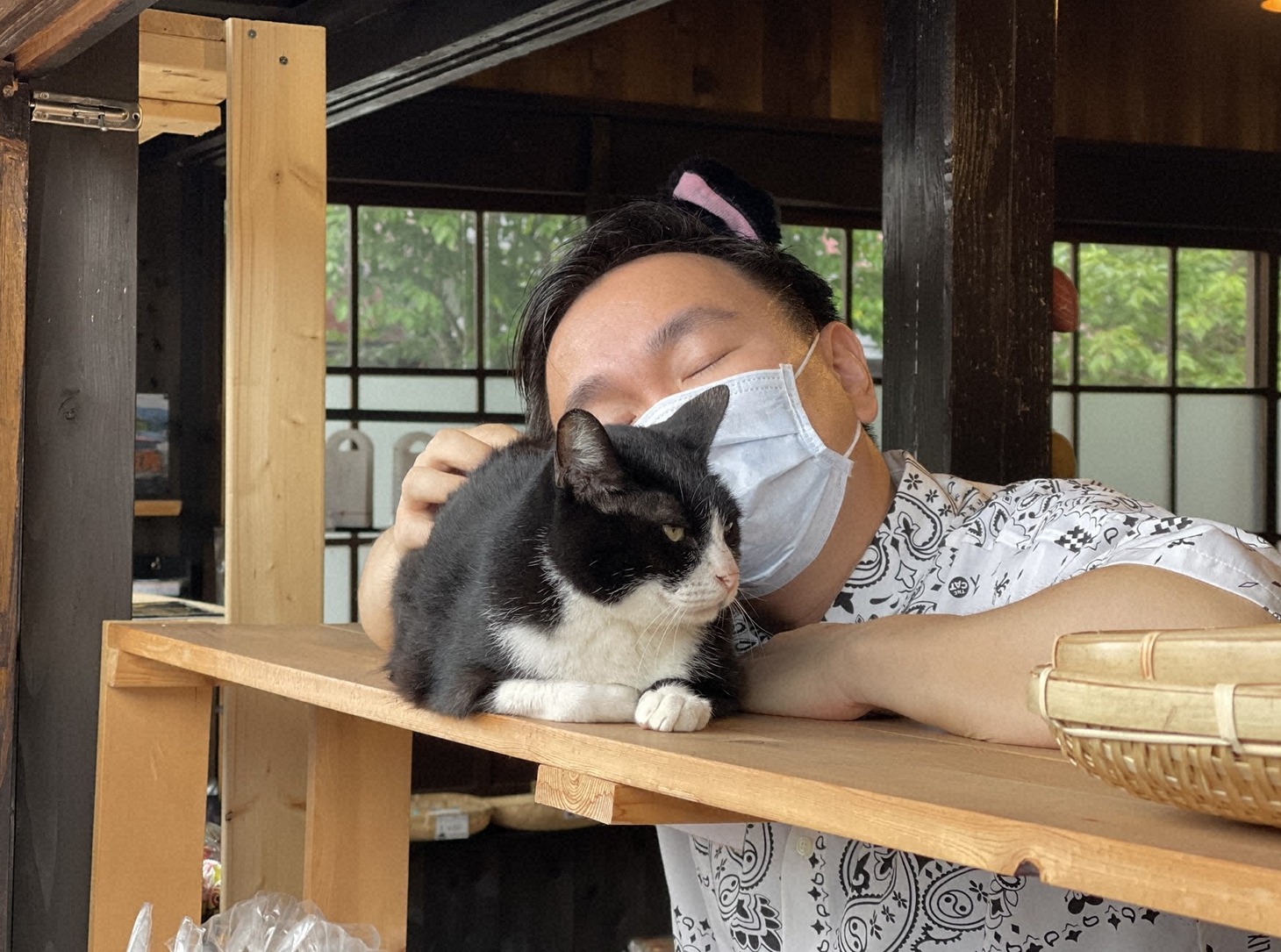 「猫大好き芸能人集結！東北ニャンだらけツアー」より。(c)青森放送