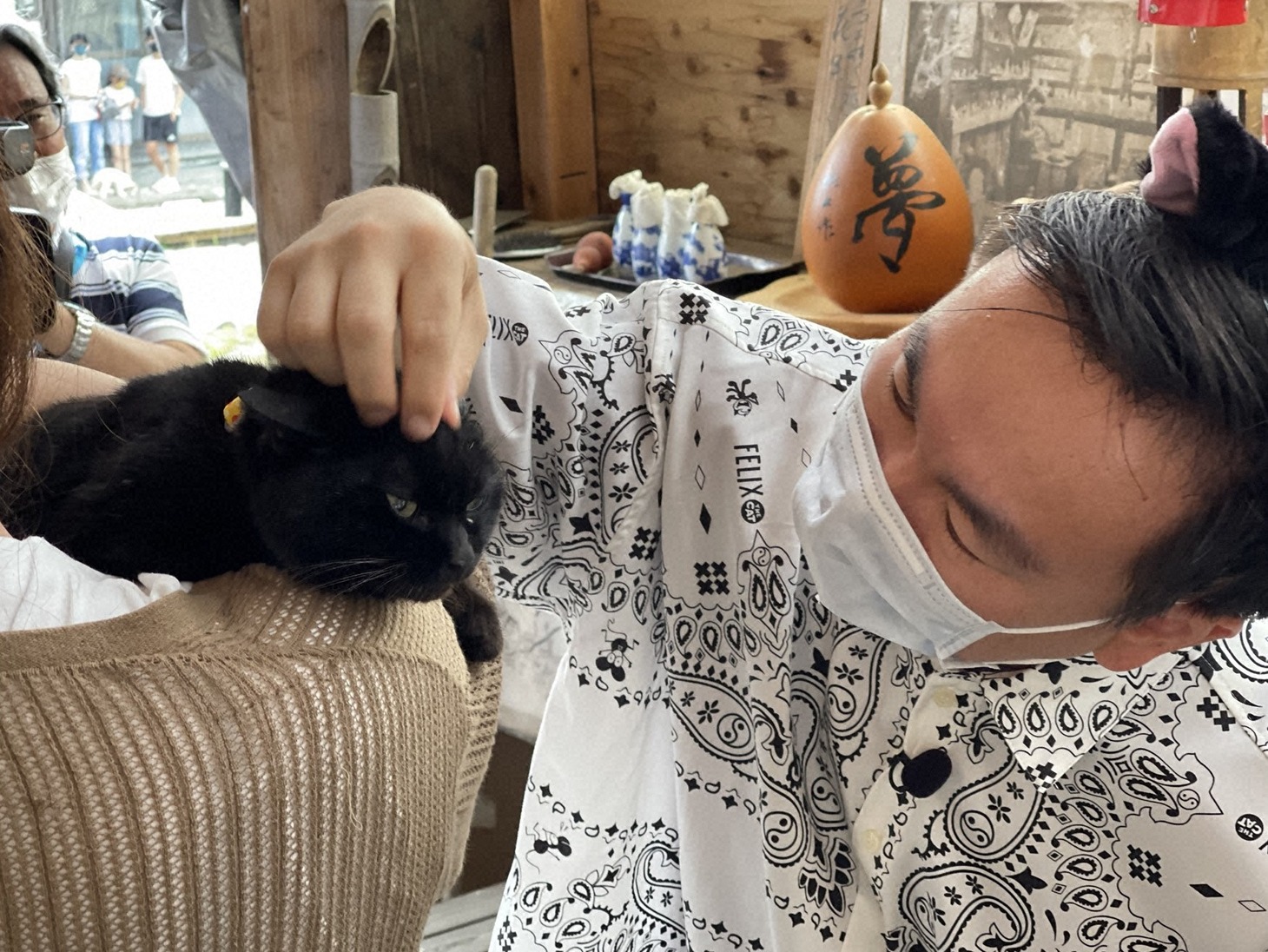 「猫大好き芸能人集結！東北ニャンだらけツアー」より。(c)青森放送