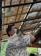 「猫大好き芸能人集結！東北ニャンだらけツアー」より。(c)青森放送