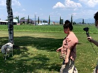 「おさんぽ北海道 ～この旅はお世話になります～」より。(c)HBC