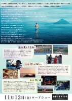 「たまの映像詩集 渚のバイセコー」ポスタービジュアル（裏面）