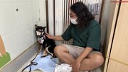 「みんなのどうぶつ園」でロッチ中岡の新企画、犬の預かりボランティア挑戦