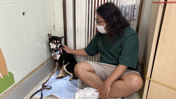 みんなのどうぶつ園 でロッチ中岡の新企画 犬の預かりボランティア挑戦 お笑いナタリー