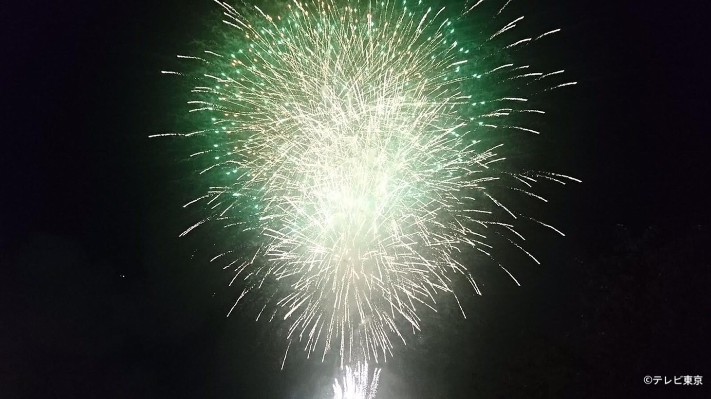 「隅田川花火大会 特別編～ありがとう＆がんばろう日本2021～」(c)テレビ東京