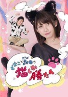 「えなこ×さらば森田の猫しか勝たん」キービジュアル