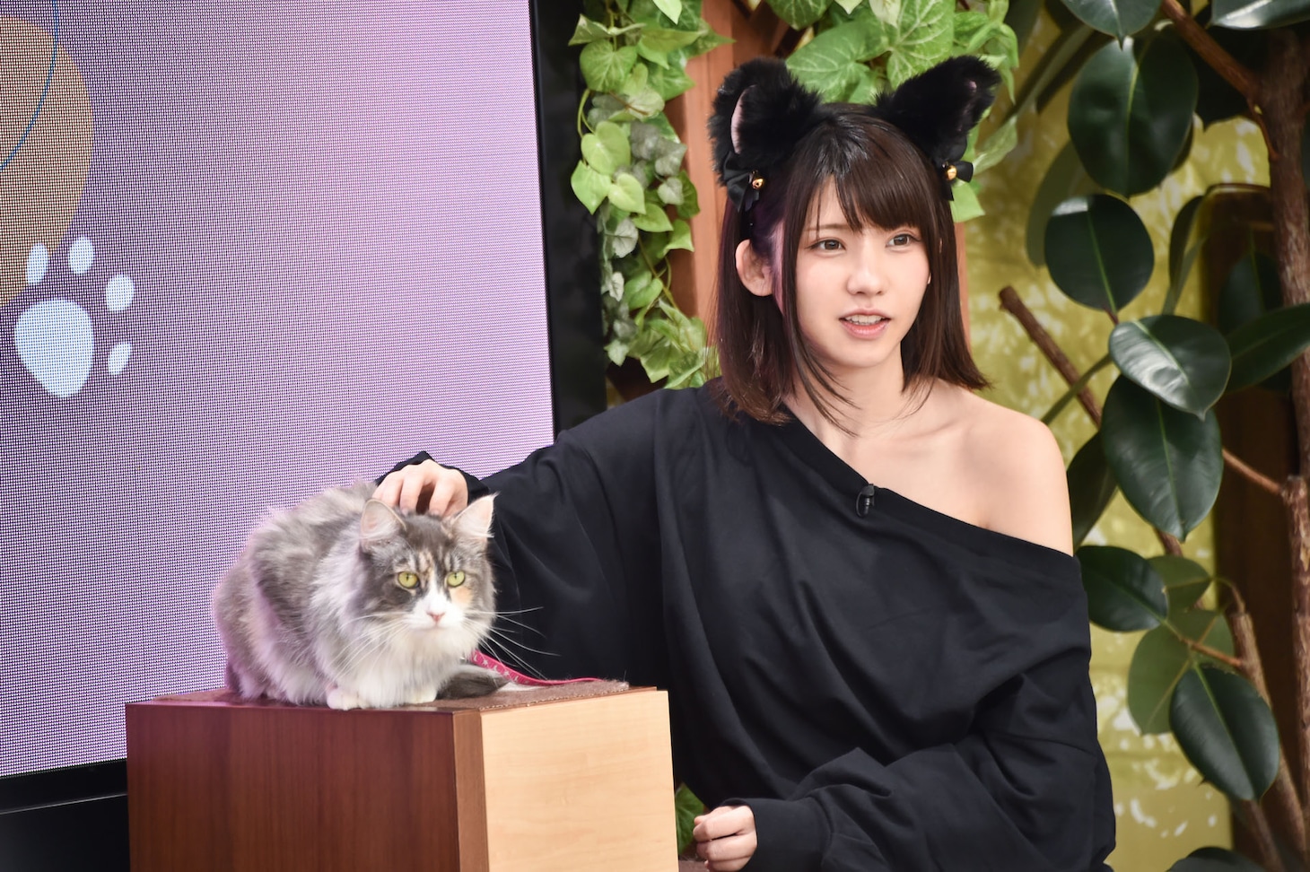 猫とえなこ。