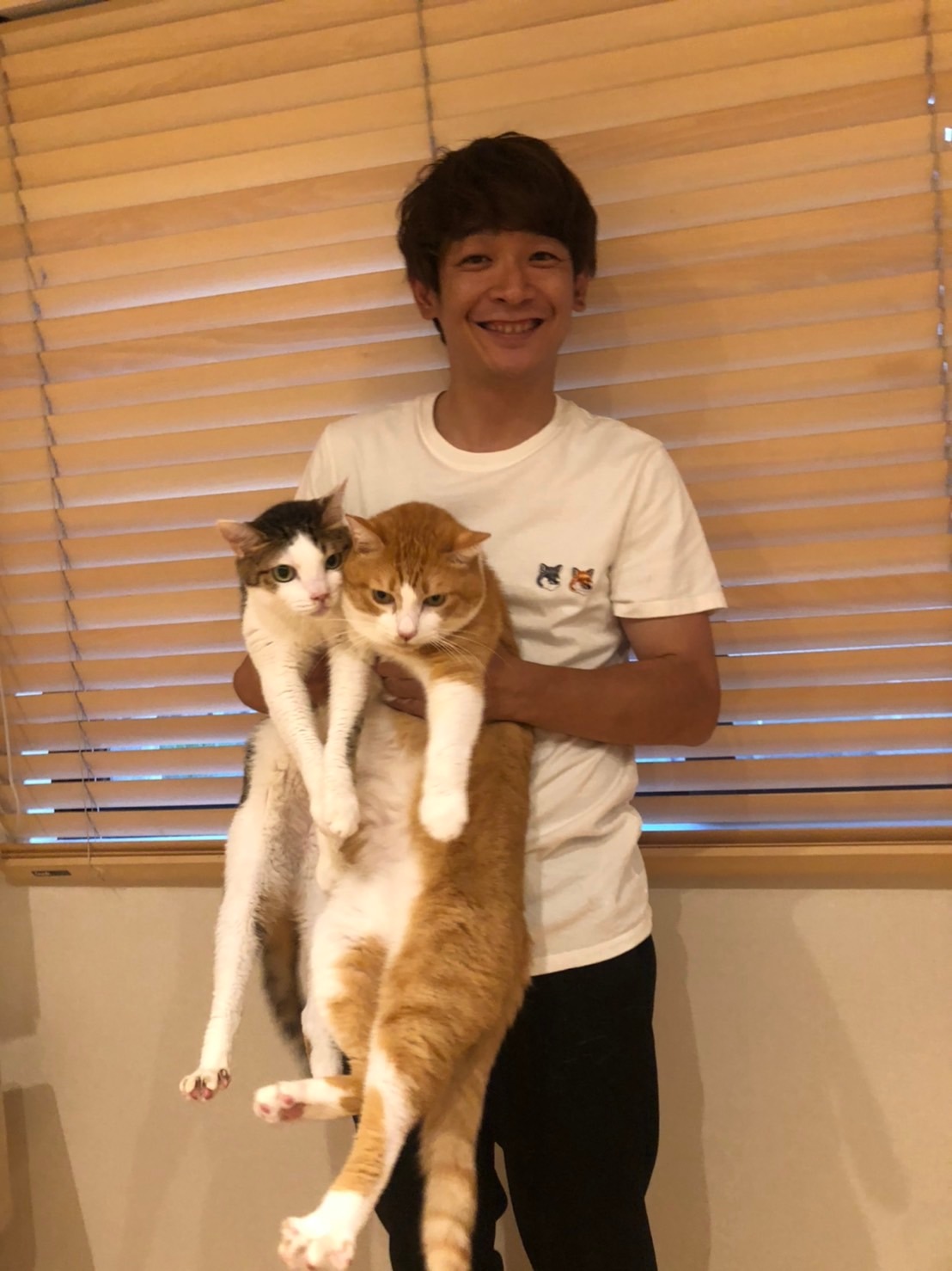 銀シャリ鰻と愛猫。