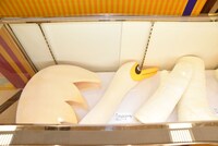 「志村けんの大爆笑展（東京）」より。