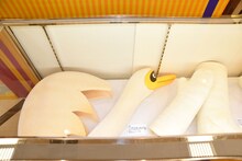 「志村けんの大爆笑展（東京）」より。