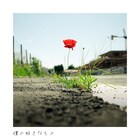 ネタ一切なし、お見送り芸人しんいち「僕の好きなもの」配信リリース