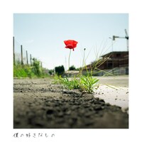 「僕の好きなもの」ジャケット