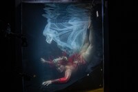 「世界の果てまでイッテQ！秋の2時間スペシャル」のワンシーン。(c)日本テレビ