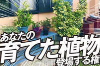 「あなたの育てた植物が登場する権」