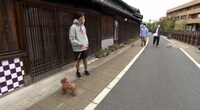 「I LOVE みんなのどうぶつ園」のワンシーン。(c)日本テレビ