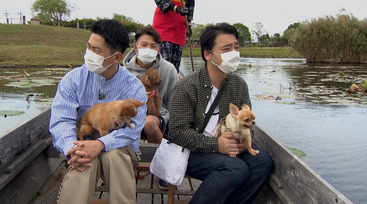 「I LOVE みんなのどうぶつ園」のワンシーン。(c)日本テレビ