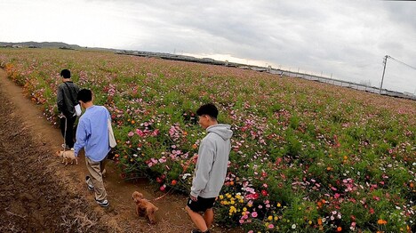 「I LOVE みんなのどうぶつ園」のワンシーン。(c)日本テレビ