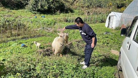 「岡田のふくしまデュアルライフ」より。