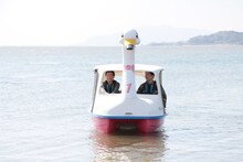 スワンボートに乗るかまいたち。