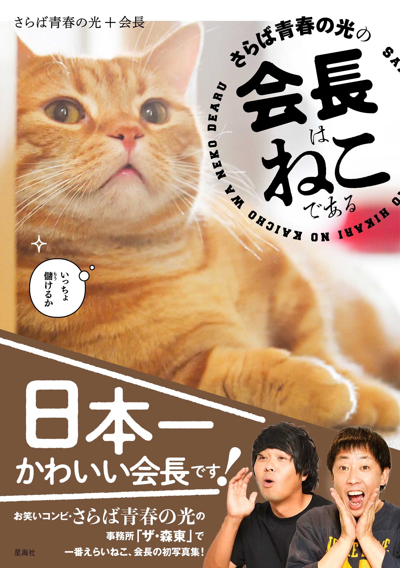 「さらば青春の光の会長はねこである」表紙