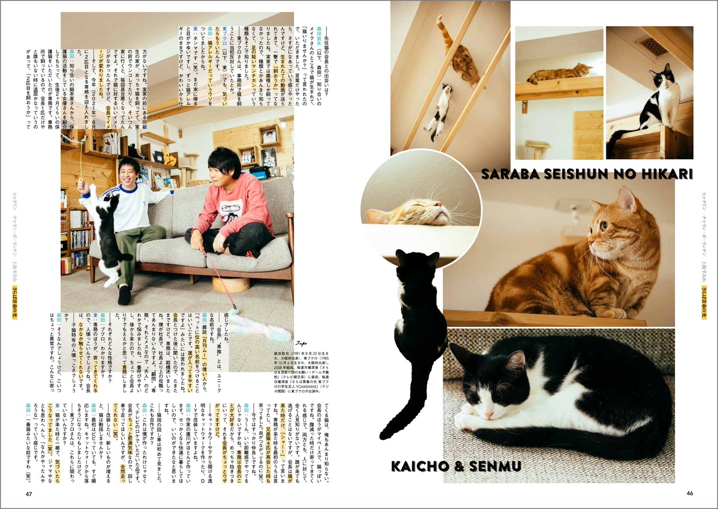 「ネコブロス vol.2」より。
