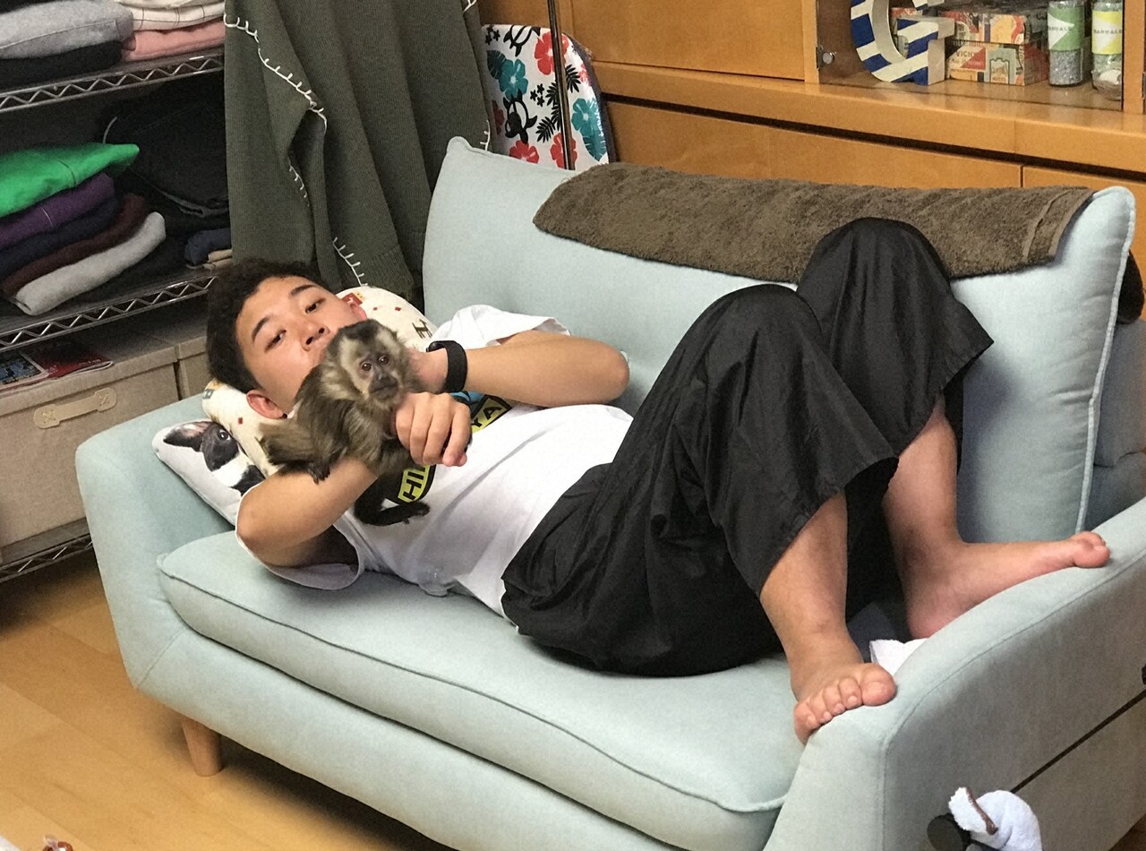 四千頭身後藤、猿と過ごすもどうしたらいいのかわからなくなる