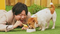 「このこのごはん」テレビCMより。