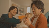 「このこのごはん」WebCMより。