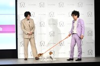 ぺこぱとのすけ。