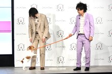 ぺこぱシュウペイに懐くのすけ。