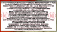 紅組メンバー
