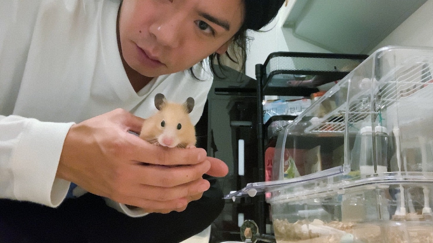 マヂカルラブリー野田とはむはむ。(c)日本テレビ