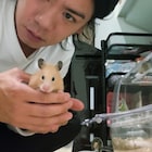 マヂラブ野田、ペットのはむはむが楽しめる“はむはむランド”を自宅に作る