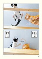 「さらば青春の光の会長はねこである」より。