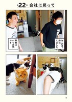 「さらば青春の光の会長はねこである」より。