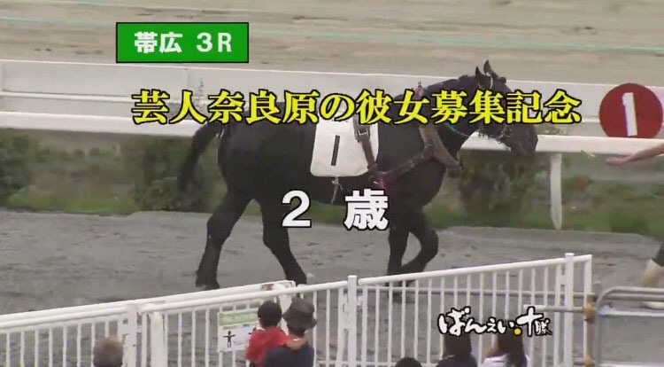 ばんえい競馬のレース「芸人奈良原の彼女募集記念」の様子。