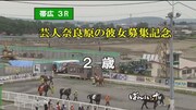 ばんえい競馬のレース「芸人奈良原の彼女募集記念」の様子。