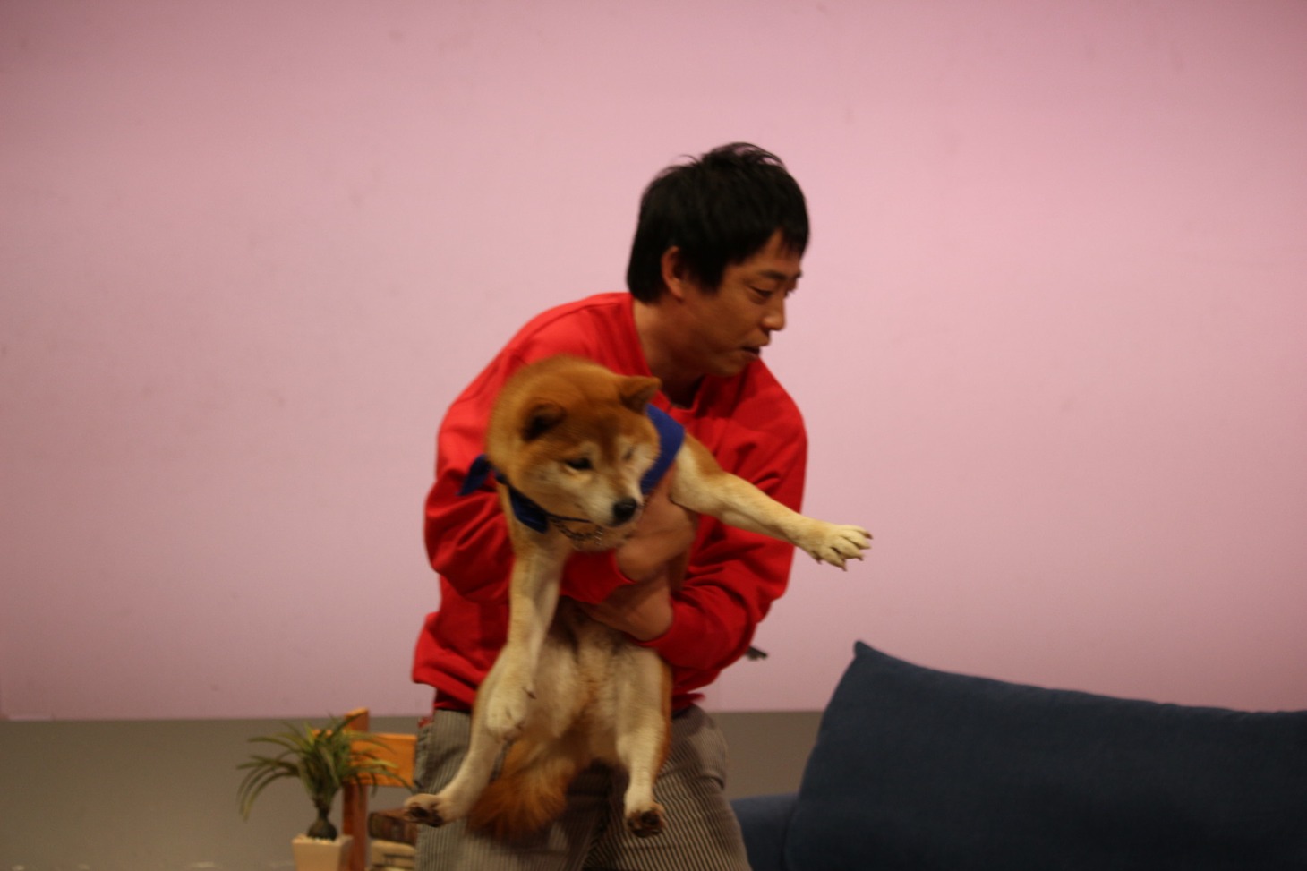 「森田と犬 SP」より。(c)静岡朝日テレビ
