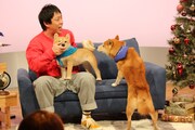 「森田と犬 SP」より。(c)静岡朝日テレビ
