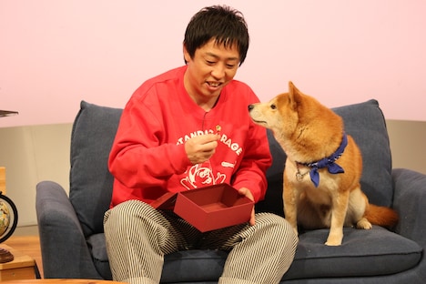 「森田と犬 SP」より。(c)静岡朝日テレビ